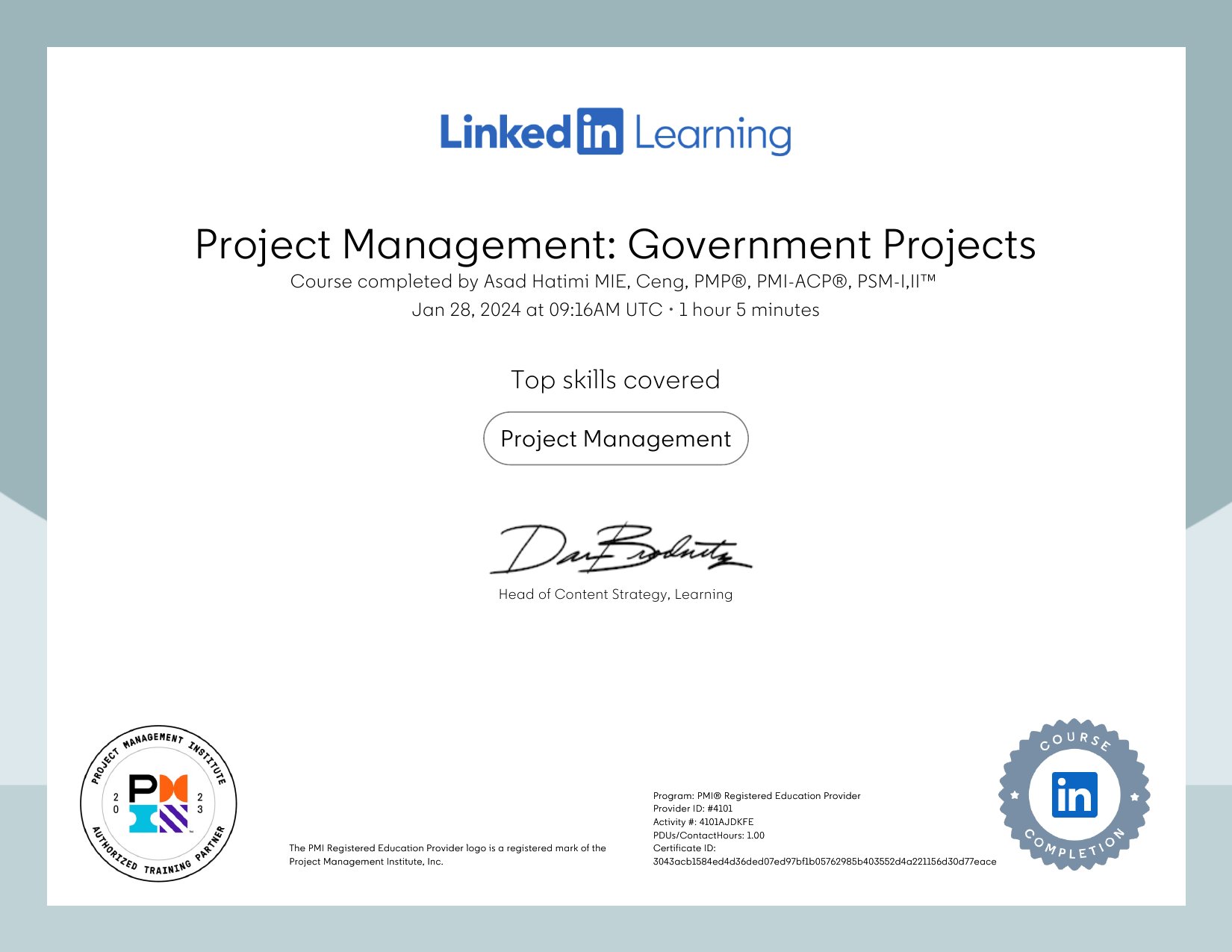 Project Management: Government Projects